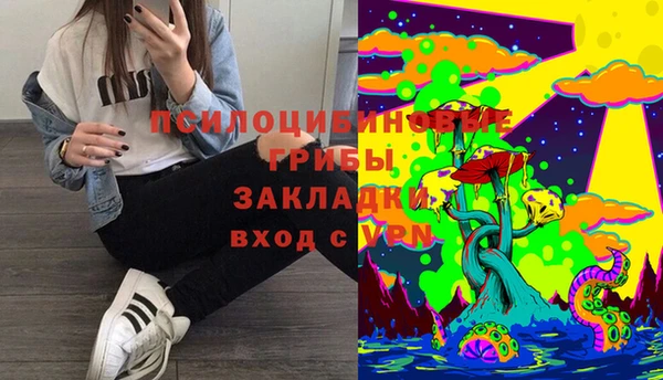 дмт Болотное