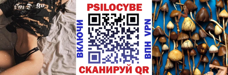 Псилоцибиновые грибы Cubensis дарнет шоп Кинель